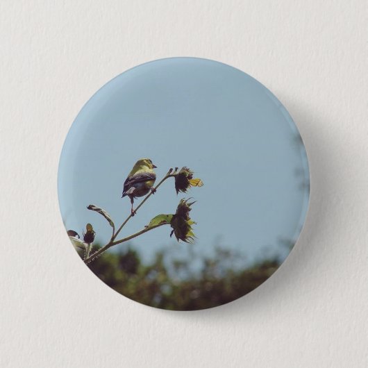 Mijn favoriete kleine bezoekers. #bird #natuur #wi ronde button 5,7 cm (Voorkant)