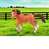 Mijn favoriete paard kussen