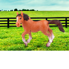 Mijn favoriete paard kussen