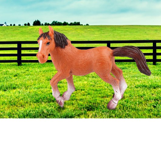 Mijn favoriete paard kussen