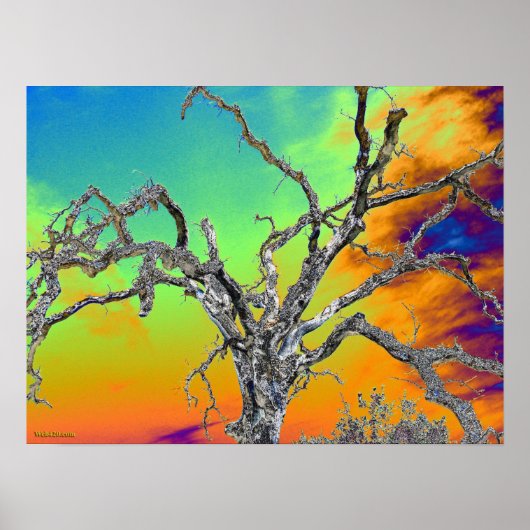 mijn favoriete psychedelische boom poster (Voorkant)