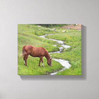 "Mijn favoriete" uitgerekte canvas print