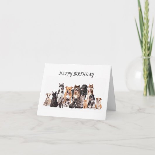 **MIJN FAVORIETE VETERINARIAN OP DE TWEEDE DAG VER KAART (Voorkant)