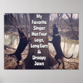 Mijn favoriete zangeres Coon Hound Poster (Voorkant)
