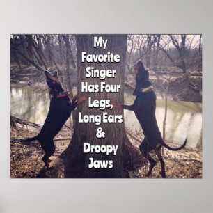 Mijn favoriete zangeres Coon Hound Poster