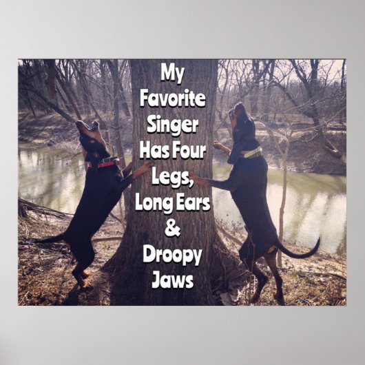 Mijn favoriete zangeres Coon Hound Poster (Voorkant)