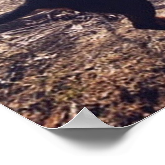 Mijn favoriete zangeres Coon Hound Poster (Hoek)