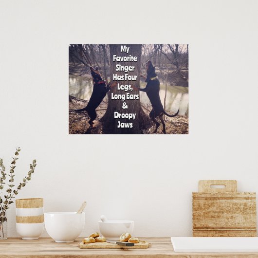 Mijn favoriete zangeres Coon Hound Poster (Keuken)