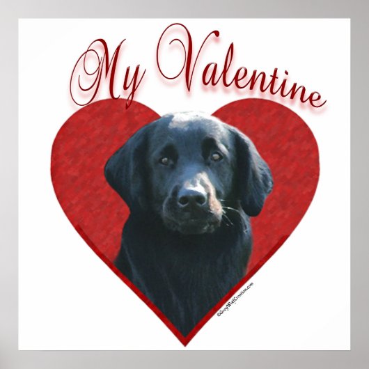 Mijn Flat-Coated Retriever Valentijn Poster (Voorkant)