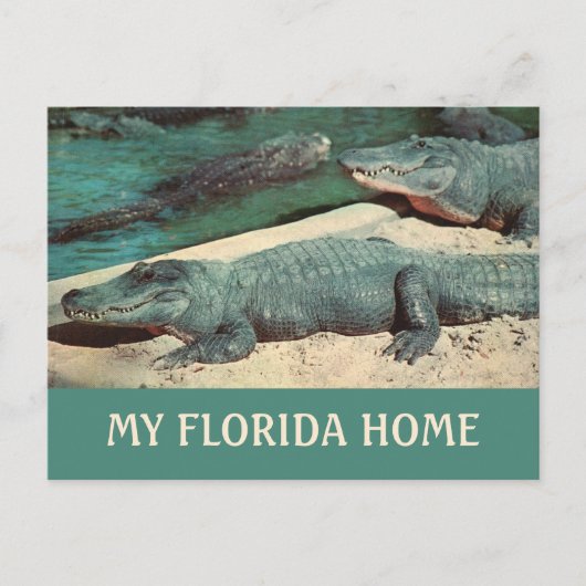 Mijn Florida Thuis Gator Ansichtkaart Briefkaart (Voorkant)