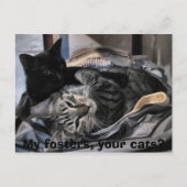 Mijn fosters, jullie katten? briefkaart (Voorkant)