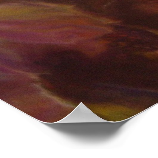 mijn foto ' s 315 poster (Hoek)