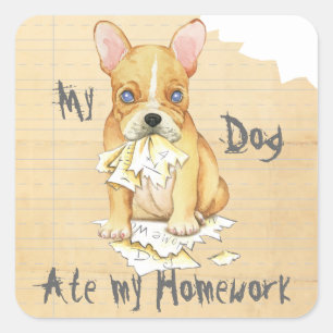 Mijn Franse Bulldog Ate My Homework Vierkante Sticker