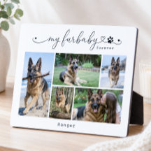 Mijn Furbaby Voor altijd Witte Huisdier Vijf Foto