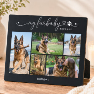 Mijn Furbaby Voor altijd Zwarte Huisdier Vijf Foto Fotoplaat