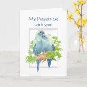 Mijn gebeden zijn met u, de Manuscript van de Bevo Kaart (Gele Bloem)