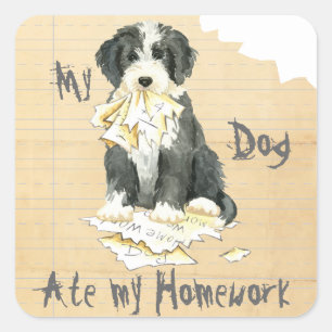 Mijn gedekte Collie Ate Mijn thuiswerk Vierkante Sticker