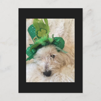 Mijn gelukkige Pet Westie Briefkaart