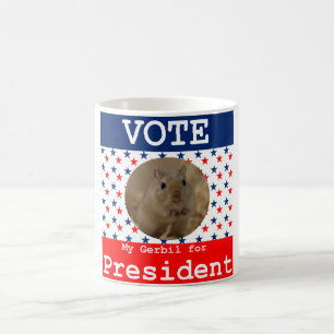 Mijn Gerbil voor President Mok