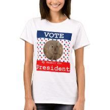 Mijn Gerbil voor President