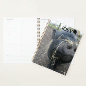 Mijn gezelschapsvarken. planner (Display)