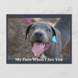 Mijn gezicht als ik je zie Schattige puppy Briefka Briefkaart