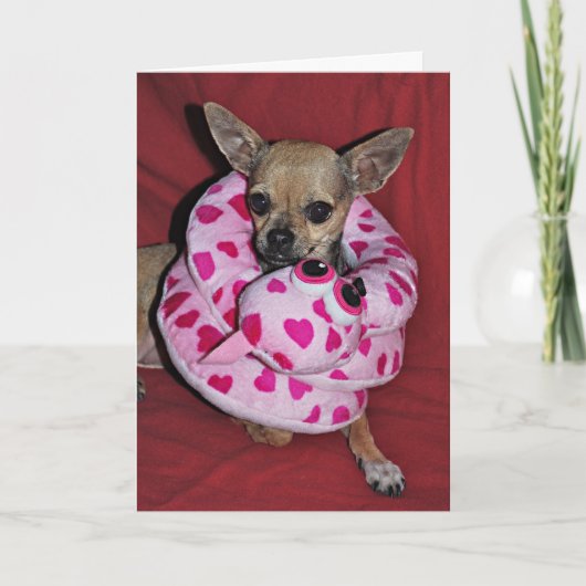 Mijn Grappig Valentijn Feestdagen Kaart (Voorkant)