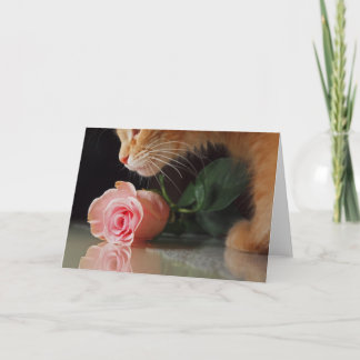 Mijn grappige Valentijn Feestdagen Kaart