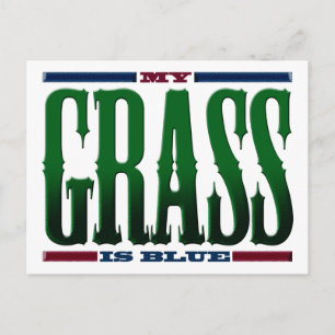 "Mijn gras is blauw" Briefkaart