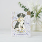 Mijn grens Collie Ate mijn Lesson Plan Briefkaart (Staand voorkant)