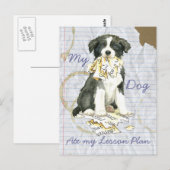 Mijn grens Collie Ate mijn Lesson Plan Briefkaart (Voorkant / Achterkant)
