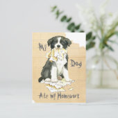 Mijn grens Collie Ate mijn thuiswerk Briefkaart (Staand voorkant)