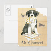 Mijn grens Collie Ate mijn thuiswerk Briefkaart (Voorkant / Achterkant)