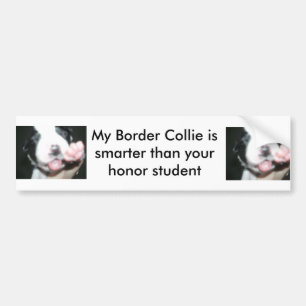 Mijn grenscollie is slimmer dan je eerstudente. bumpersticker