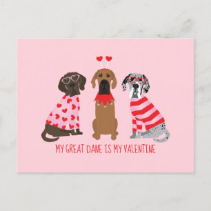 Mijn grote Deen is mijn Valentijn Briefkaart