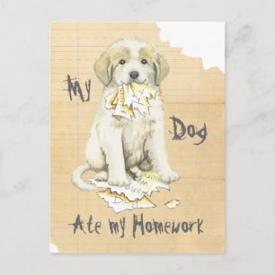 Mijn grote Pyreneeën Ate Mijn thuiswerk Briefkaart