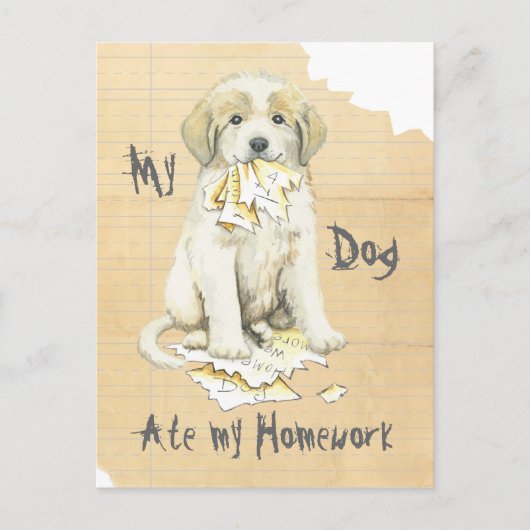 Mijn grote Pyreneeën Ate Mijn thuiswerk Briefkaart (Voorkant)