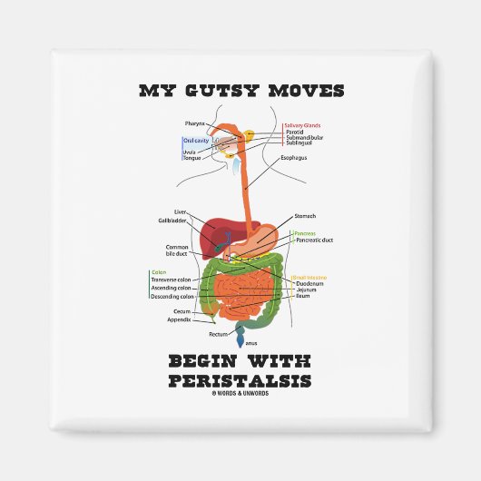 Mijn gutsy bewegingen beginnen met peristalsis (sp magneet (Voorkant)