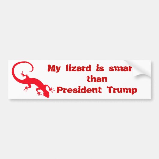 Mijn hagedis is slimmer dan President Trump Bumpersticker (Voorkant)