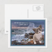 Mijn hart behoort tot een gedicht in Chihuahua Briefkaart (Voorkant / Achterkant)