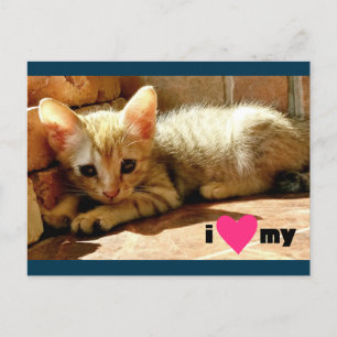 Mijn hart briefkaart