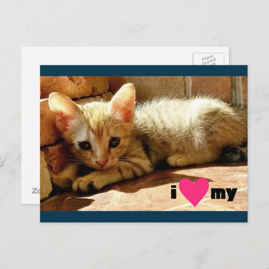 Mijn hart briefkaart (Voorkant / Achterkant)