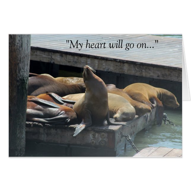 Mijn hart zal doorgaan (Voorkant Horizontaal)