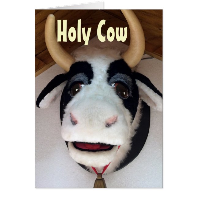 MIJN HARTJE ***MOOS VOOR U*** MISSING VAN U (Voorkant)