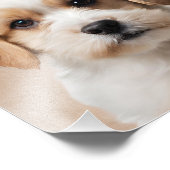 Mijn hond Charlie fotoprint Foto Afdruk (Hoek)
