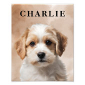 Mijn hond Charlie fotoprint Foto Afdruk (Voorkant)