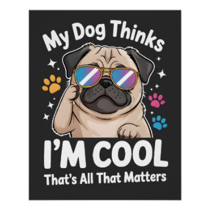 Mijn hond denkt dat ik cool ben dat is alles wat t perfect poster