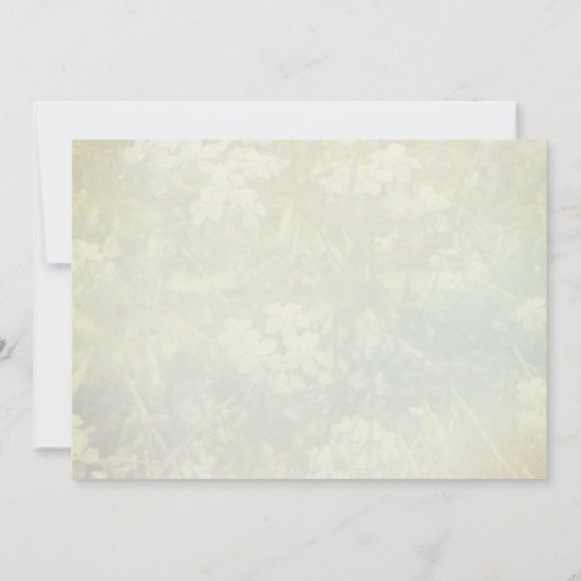 Mijn hond en ik hebben de aankondiging verplaatst (Achterkant)