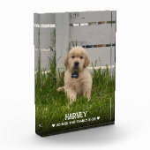 Mijn Hond Foto (Links)