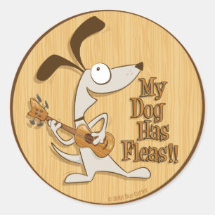 Mijn hond heeft vlooien - rond ukulele sticker